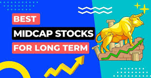 best midcap stocks for long term
