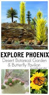 explore phoenix desert botanical