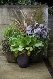 Grouping Plants In A Pot