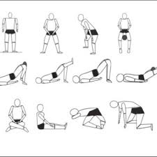 pelvic floor muscle exercises by artur