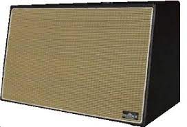 guitar cabinet speaker kit