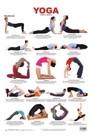 Manufacturer Of Yoga Charts Exercise Chart By Dreamland