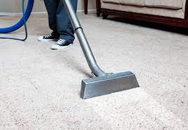 carpet cleaning company brighton mi