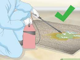 remove dried urine from carpet