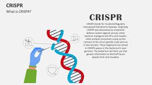 crispr powerpoint and google slides