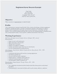 Reference Sample In Resume Perfect Job Resume Examples For College