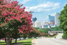 best things to do in raleigh best of
