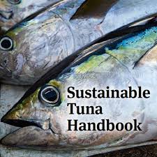 50 cm (1.6 ft), weight: Tuna Marine Stewardship Council