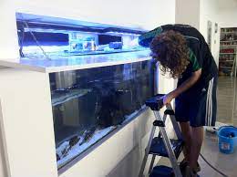 Aquarium Custom Fish Tank Installation