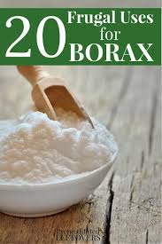20 frugal uses for borax