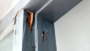 how do you repair termite damage el