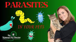 top natural remes for parasites in