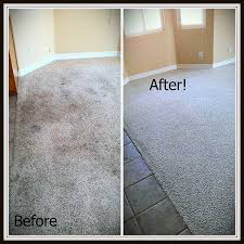 best carpet cleaners in spartanburg sc