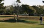 Willowcreek Golf Course in Sun City, Arizona, USA | GolfPass