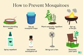 how to get rid of mosquitoes in your yard