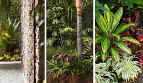 The Beauty Behind A Tropical Garden