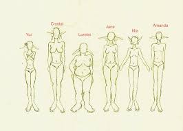 Female Body Types Drawing At Getdrawings Com Free For