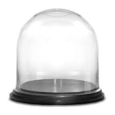 Glass Dome Cloche Terrarium Bell Jar