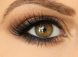 ombre eyeshadow makeup tutorial