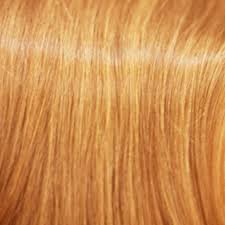 28 Albums Of Golden Blonde Hair Color Chart Explore