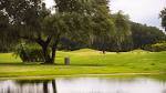 Golf in Sarasota: 12 public and semi-public courses in the county