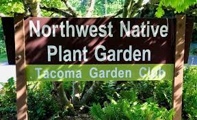 Nw Native Plant Garden Tacoma Garden Club