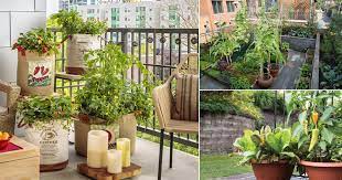 How To Make An Urban Vegetable Garden