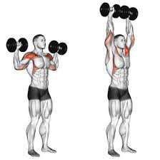 dumbbell seated overhead press up