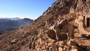 Image result for picture of biblical lady walking mountain trail