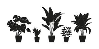 Indoor Plants Silhouette Vector Art