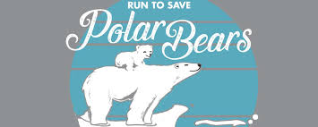 Keep your eye on the prize. Run To Save Polar Bears 5k 10k Half Marathon