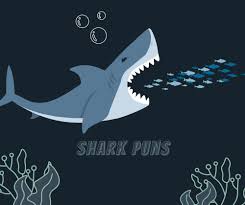 shark puns and jokes make you laugh out