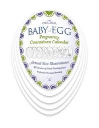 Baby Egg Pregnancy Countdown Calendar By Anita Schneider