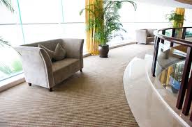 leesburg professional carpet cleaners