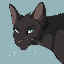 warriors cats crowfeather | Tumblr | Warrior cat drawings, Warrior cats  art, Warrior cats fan art