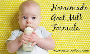 homemade goat milk formula recipe