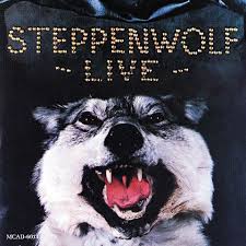 the steppenwolf story chapter six