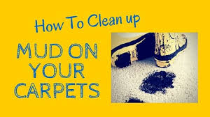 how to clean mud out of your carpet