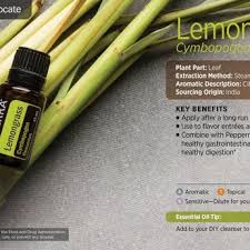 essential oils lemongr essential oil