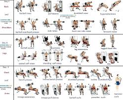 Day Workout Routines Barbell Exercises Chart Pdf Gym
