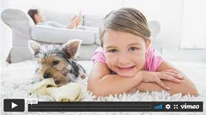 carpet cleaning san antonio chem dry