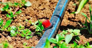 7 best drip irrigation system review