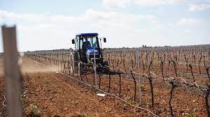 tillage of the vineyard soil la