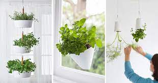 indoor garden idea hang your plants