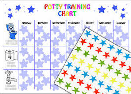 Details About Reusable Boys Potty Training Reward Chart 63 Star Stickers And A4 Chart