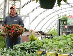 greenhouse businesses healthy