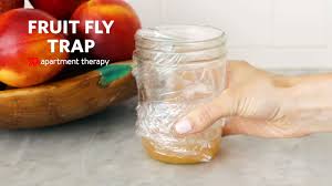 how to make a homemade fruit fly trap