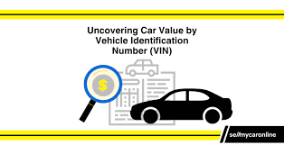 vehicle identification number vin