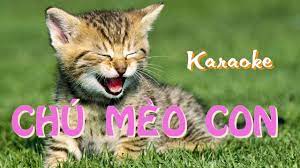 Chú mèo con karaoke - Bài hát thiếu nhi hay - karaoke nhạc thiếu nhi sôi  động - YouTube