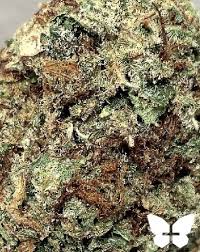 The release of berry pie from berner's cookies out of los angeles was highly anticipated, as this cultivator is known for creating potent strains with delicious flavors. Kush Berry Strain Marijuana Strain Reviews Allbud